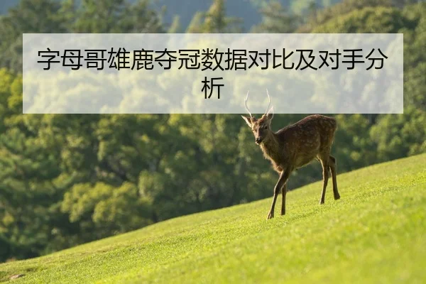 字母哥雄鹿夺冠数据对比及对手分析